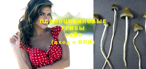 ECSTASY Аркадак